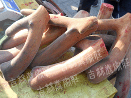 ÷����¹��