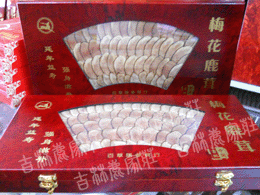 �ٲݾӲ�����÷��¹�����