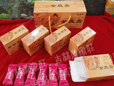 Դ¹����ȫ¹��