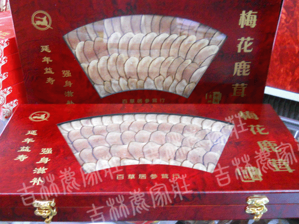 �ٲݾ�¹��Ƭ�������