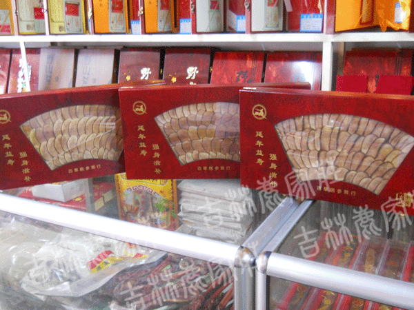 �ٲݾ�¹��Ƭ�������