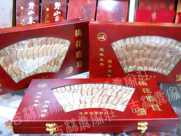 �ٲݾ�¹��Ƭ�������