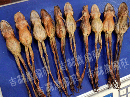 Ұ������/ѩ��