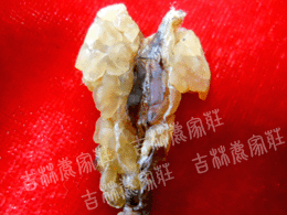 ����ɽҰ������/ѩ�򣨼�Ʒ��