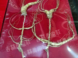 ����ɽҰɽ��