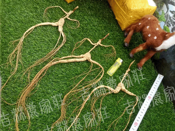 ����ɽҰɽ��