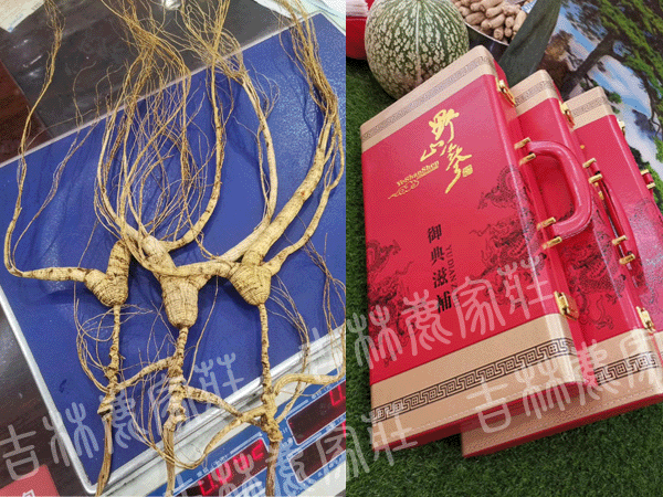 ����ɽҰɽ��