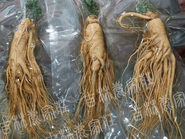 ����ɽ���ʲ�