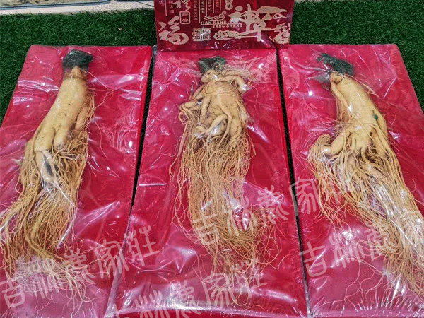 ����ɽ���ʲ�