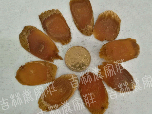 ����ɽ���Ǻ��Ƭ