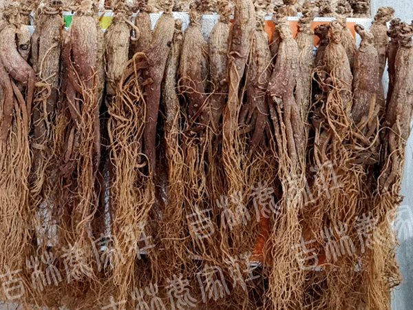 ����ɽ���Ǻ��