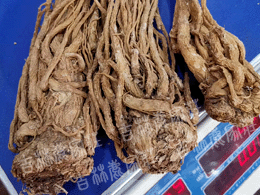 ��Ʒ����