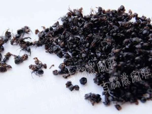 ����ɽ������