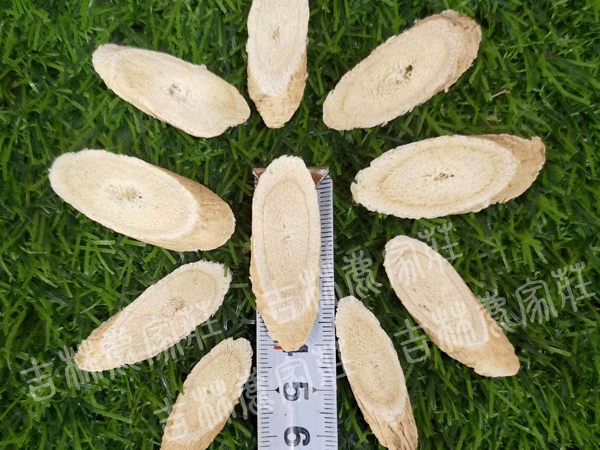 ���ֻ���